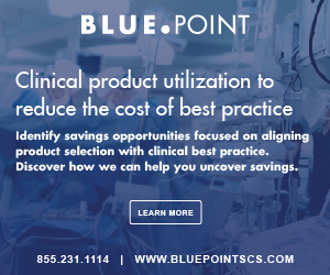 Blue.Point LLC