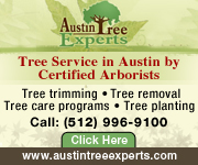 Austin Tree Experts