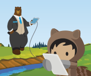 Salesforce.com