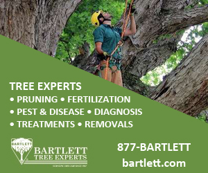 Bartlett Tree Experts