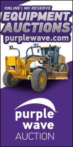 Purple Wave Auction