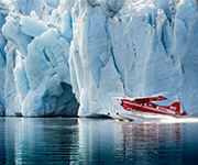 Visit Anchorage ®