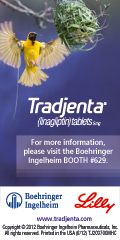 Boehringer Ingelheim Corporation