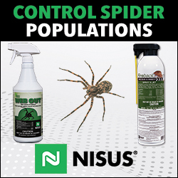 Nisus Corp