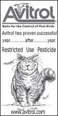 AVITROL