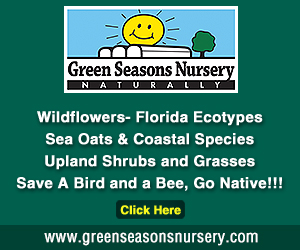Green Seasons Nursery