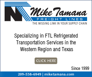 Mike Tamana Freight Lines LLC