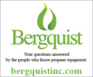 Bergquist