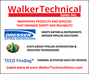 Walker Technical Sales Inc. 