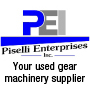 Piselli Enterprises, Inc.