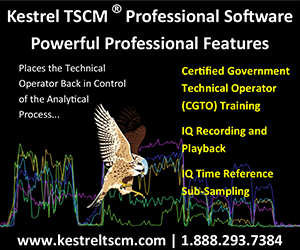 Professional Development TSCM Group