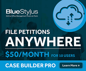 Financial Software Solutions LLC -  BlueStylus