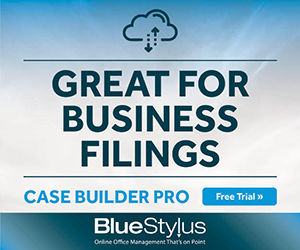 Financial Software Solutions LLC -  BlueStylus