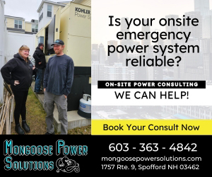 Mongoose Power Solutions 