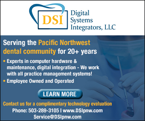 DSI - Digital Systems Integrators