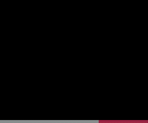 Heidelberg Engineering