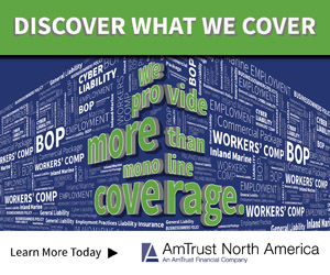 AmTrust North America